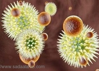 وقف انتشار وباء إيبولا سيحتاج لستة إلى تسعة أشهر