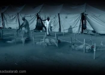 عملية تدمير داعش من الداخل بدأت..