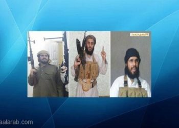 مقتل قياديين سعوديين في اليمن واخر في سوريا