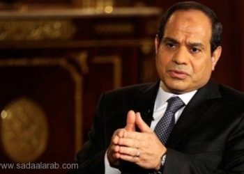 السيسي: سنتخذ المزيد من الإجراءات لإخلاء المنطقة الحدودية
