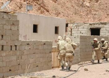 مقتل 14 ارهابياً في مصر في عملية امنية