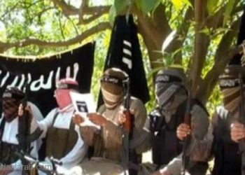 مصر.. أنصار بيت المقدس تعلن الانضمام لداعش