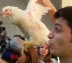 بالفيديو: مراسل لبناني يقتحم مؤتمر وزير الصحة بدجاجة مثيراً للضحك والسخرية