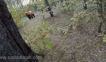 بالفيديو: شاب ينجو باعجوبة من دب هاجمه بإحدى الغابات