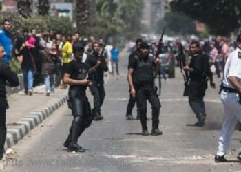 مصر : ضبط 6 خلايا إخوانيّة