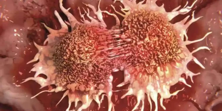 فاكهة قد تقلل من نمو الخلايا السرطانية بنسبة 60% في غضون 24 ساعة