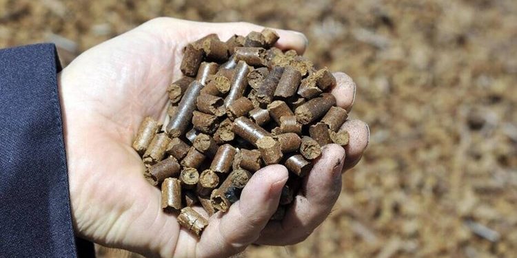 ارتفاع أسعار الطاقة يزيد في الطلب على مواقد الحطب في فرنسا