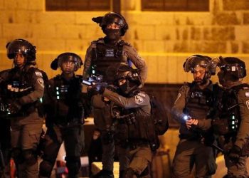 العدو الإسرائيلي يواصل احتجاز 5 رعاة فلسطينيين في الأغوار المحتلة