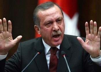 إردوغان: أوروبا ستواجه شتاءً قاسياً لكنها تحصد ما زرعته بيدها