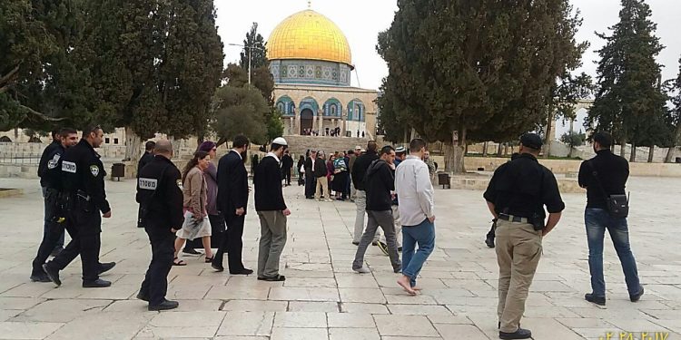 الصهاينة يدنسون الاقصى لليوم الثالث